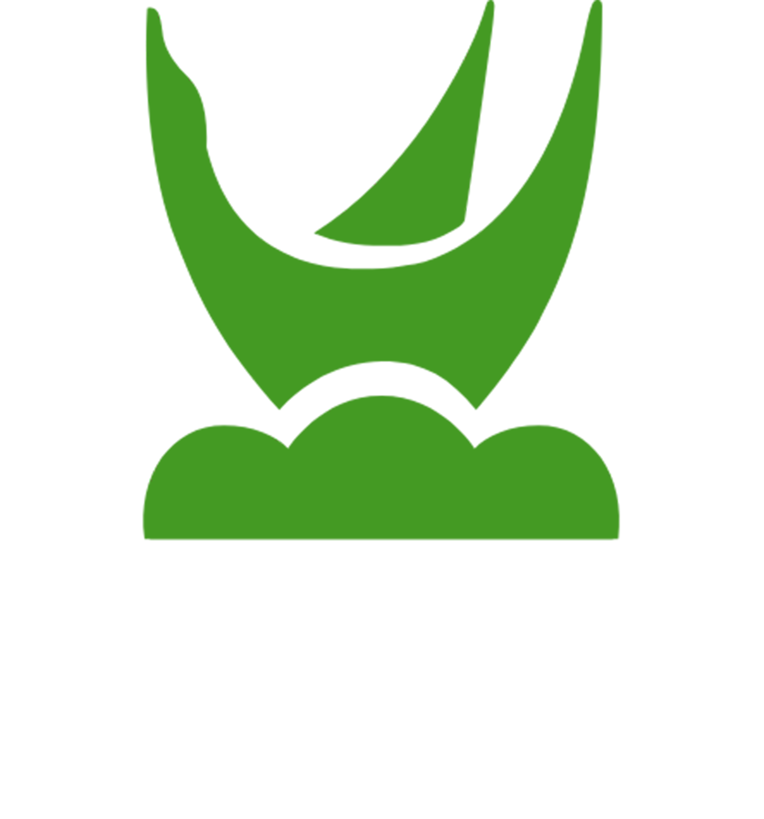 31 HCC